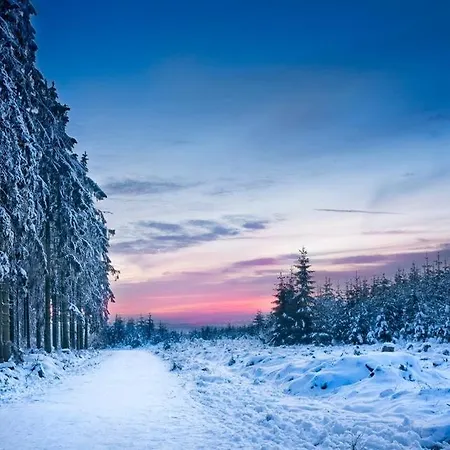 Le Doux Ny Dom wakacyjny Stoumont