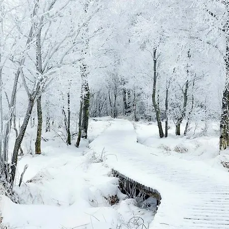 Дом отдыха Le Doux Ny Стумон