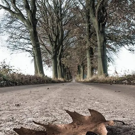 Le Doux Ny Дом отдыха