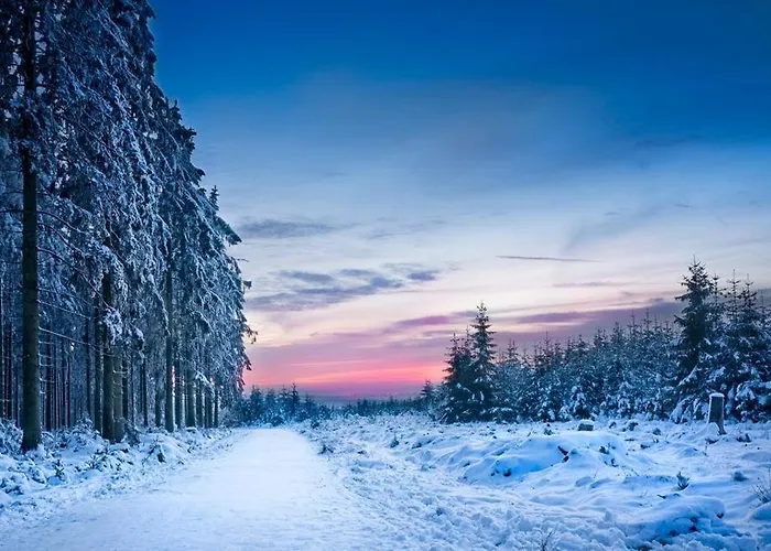 Le Doux Ny Holiday home Stoumont