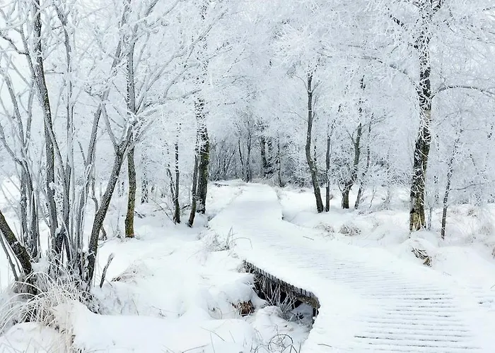 Holiday home Le Doux Ny Stoumont