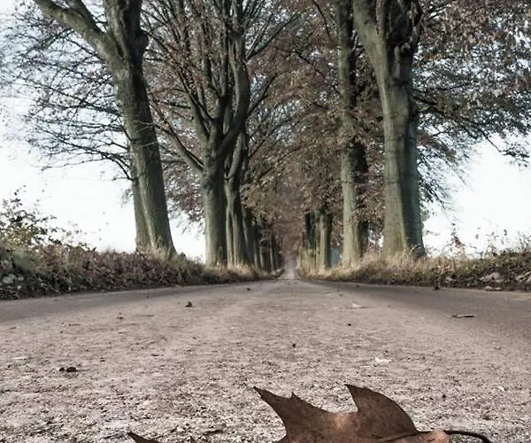 Le Doux Ny Casa de Férias