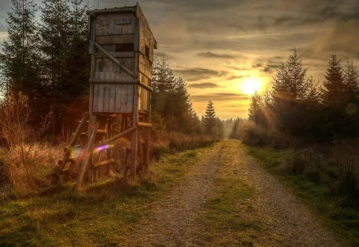 Holiday home Le Doux Ny Stoumont